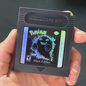 Pokemon Black game